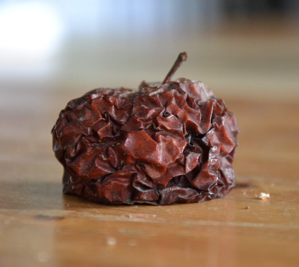 Vertrocknete, braune Frucht auf einem Holzuntergrund, leicht unscharf im Hintergrund.
