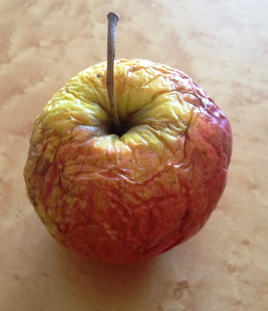 Vertrockneter Apfel mit rissiger, rot-gelber Schale auf einer hellen Holzoberfläche.