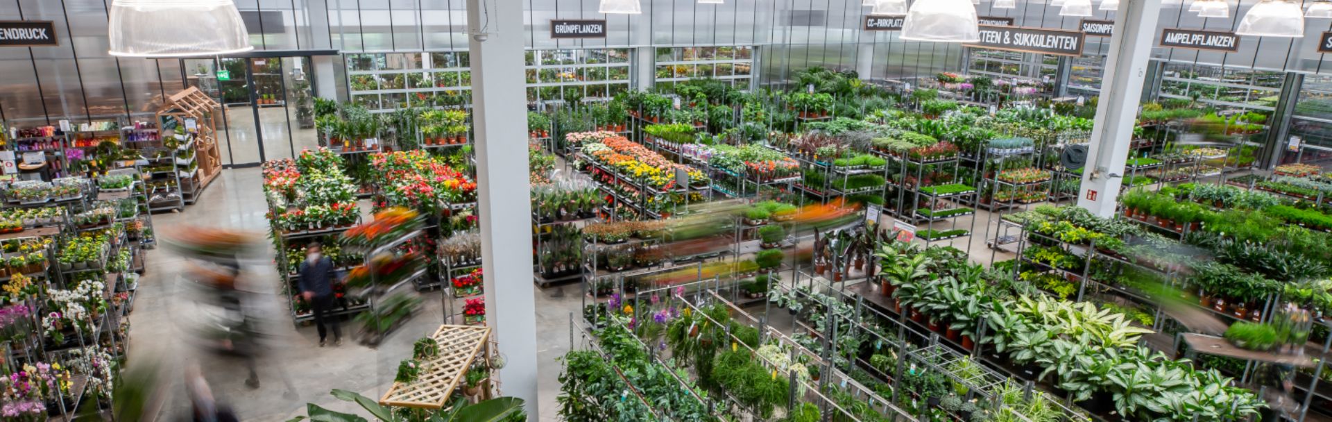 CC-Markt - URBAN UTOPIA Blick auf einen lebhaften Pflanzenmarkt mit zahlreichen Blumen und Pflanzen in Regalen, umgeben von Besuchern.